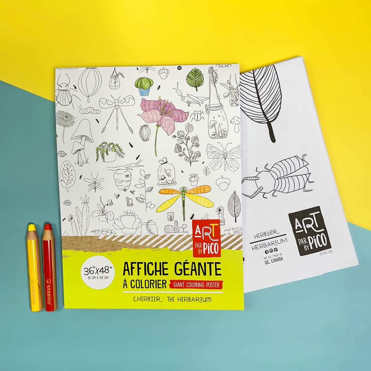 Pico Coloriage géant Éducation Pico Tatouages Temporaires