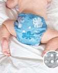 La Petite Ourse Couche lavable Tout-en-un Couches lavables La Petite Ourse