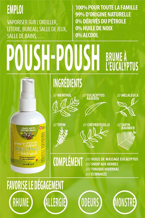 Souris Verte Vaporisateur Poush Poush Brume à l'eucalyptus Soins corporels Souris Verte