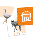 Placote — Cartes supplémentaires pour le dé des premiers mots : Les animaux Jouets Placote : Jeux de langage