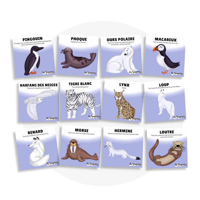 Les Bougeottes Cartes d'apprentissage - Animaux polaires Éducation Les Bougeottes