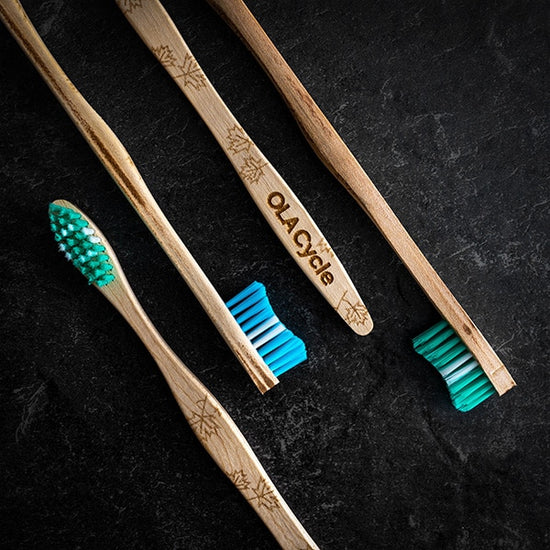 Ola Bambou Brosse à dents en érable OlaCycle Ola Bamboo