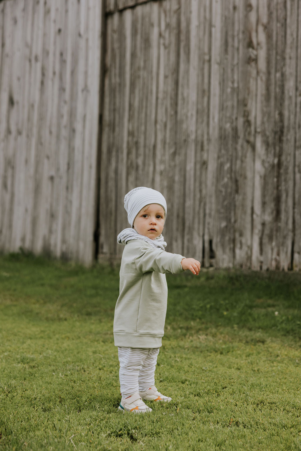 Zak &amp; Zoé Pantalon évolutif harem Vêtements Zak &amp; Zoé 3-12 mois Ligné sauge