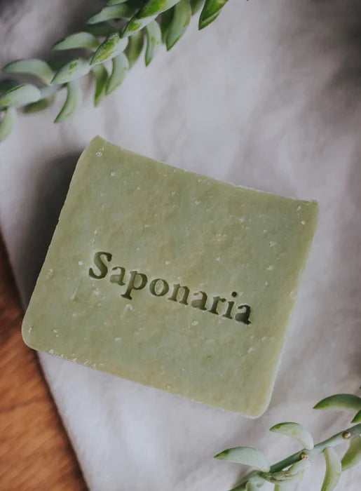 Soap factory Saponaria Bath bomb